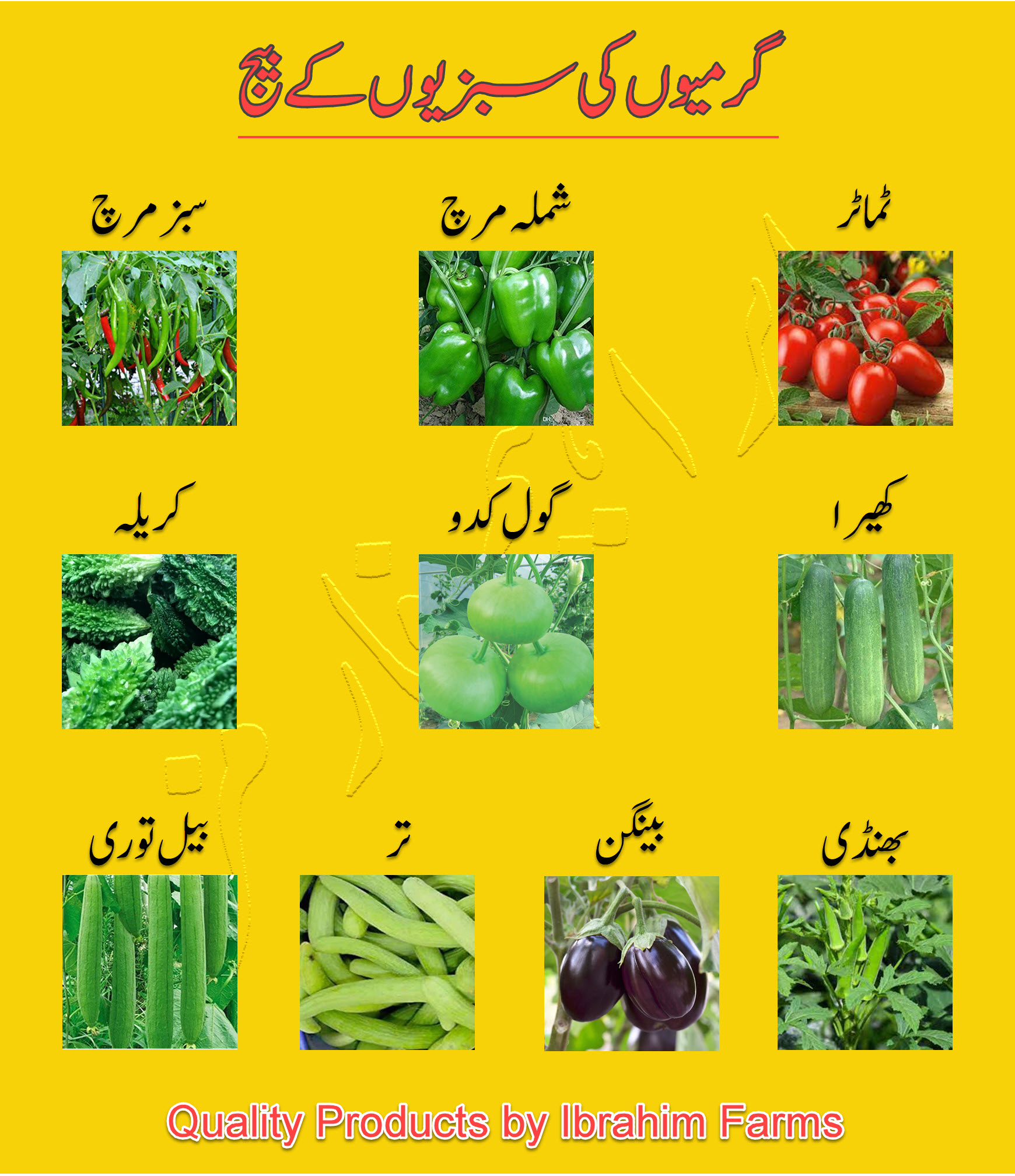 Product
